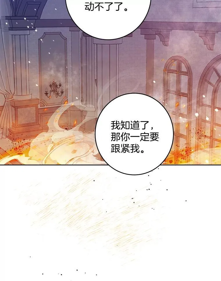 41.固有标记 第19页