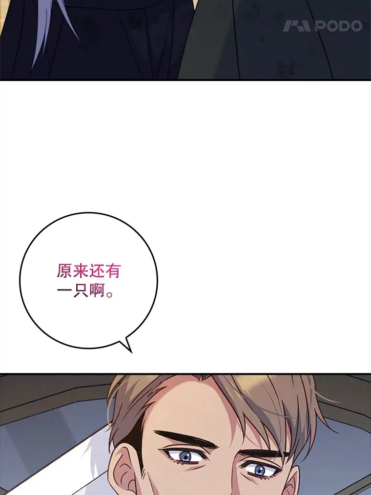 15.陷阱 第51页