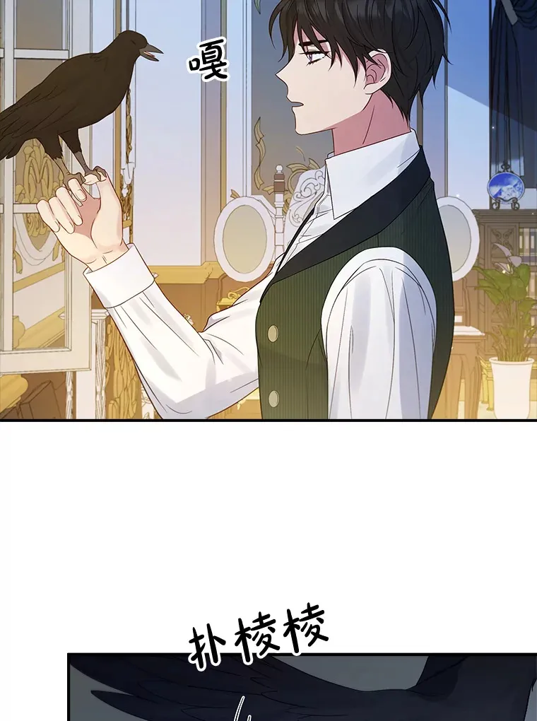 20.积累的异物 第58页