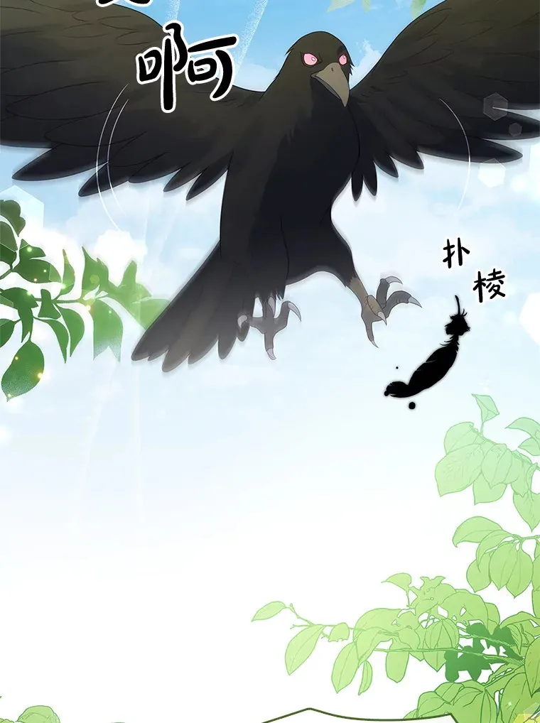 26.正面冲突 第12页