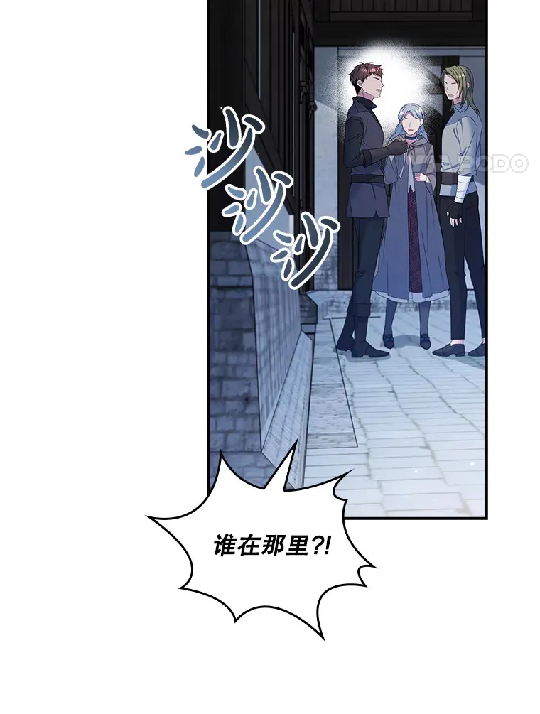 31.偶遇希维亚 第31页