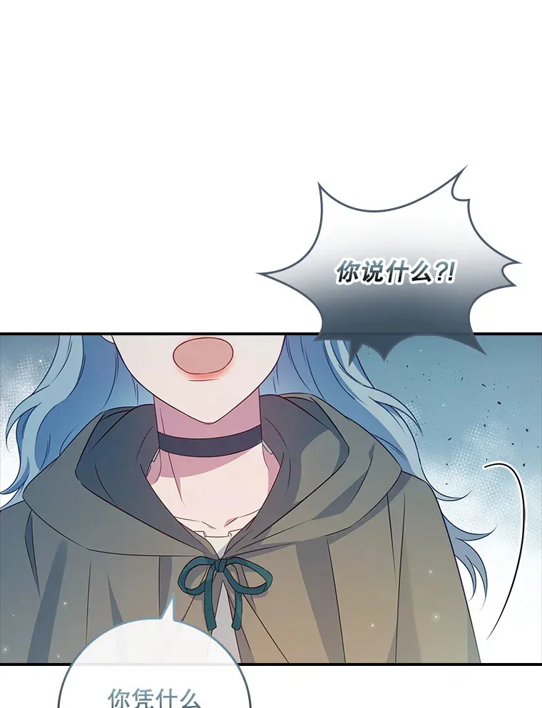 31.偶遇希维亚 第74页