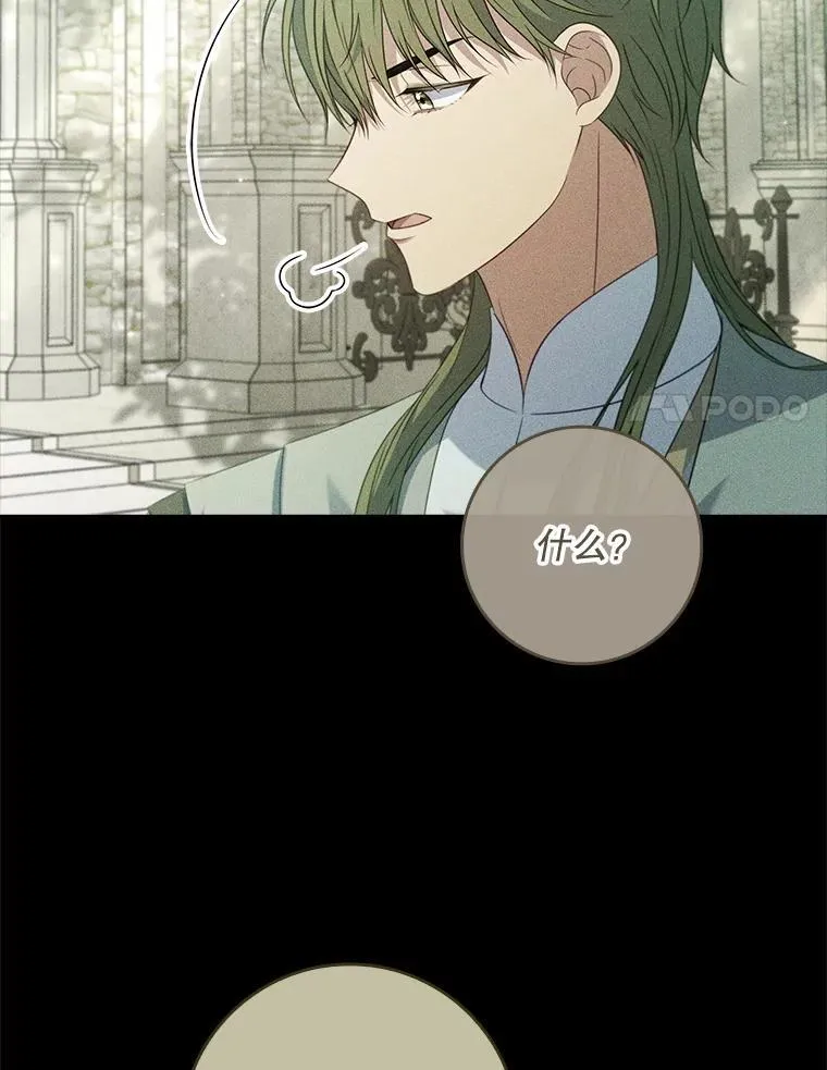 41.判别仪式开始 第11页