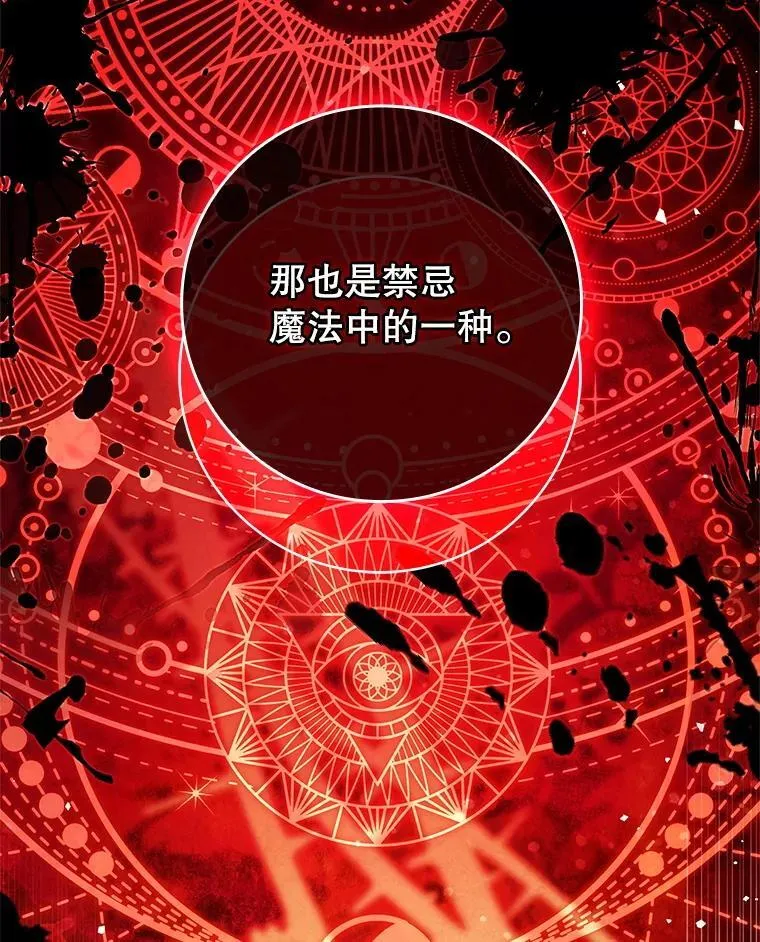 54.魔法之谜 第66页