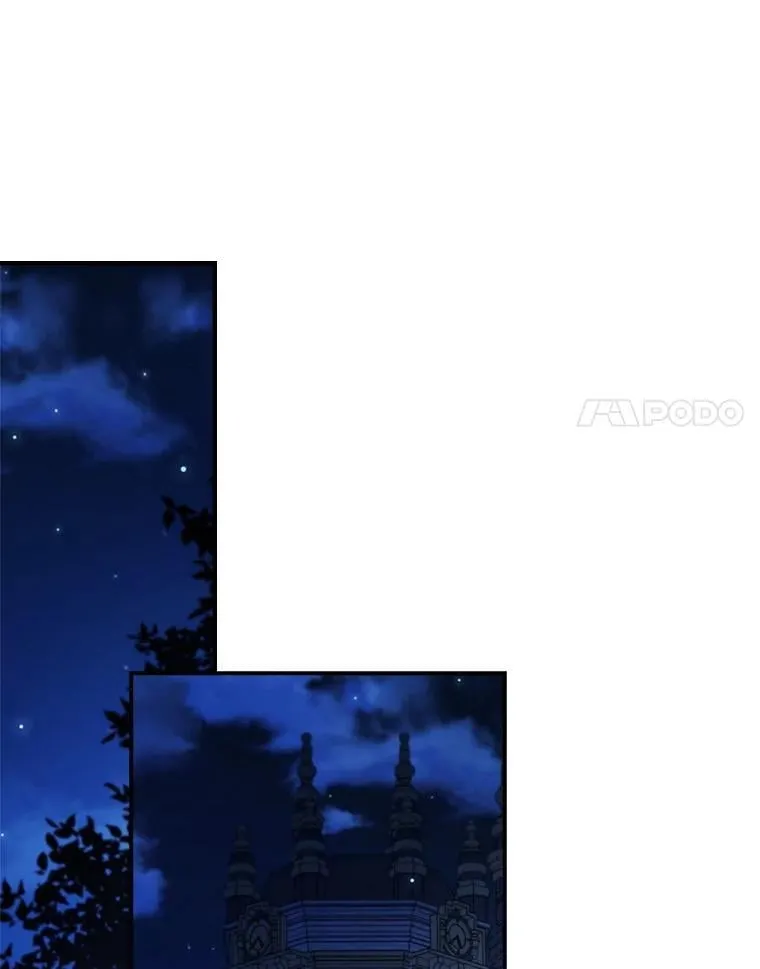 59.诞辰宴开始 第74页