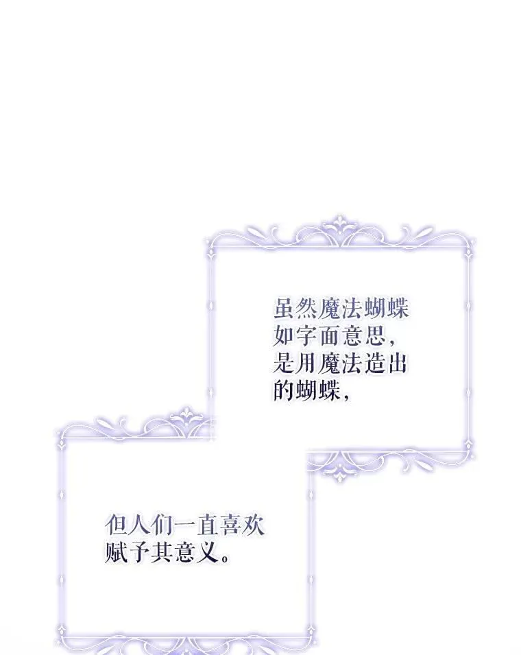 63.魔法蝴蝶 第3页