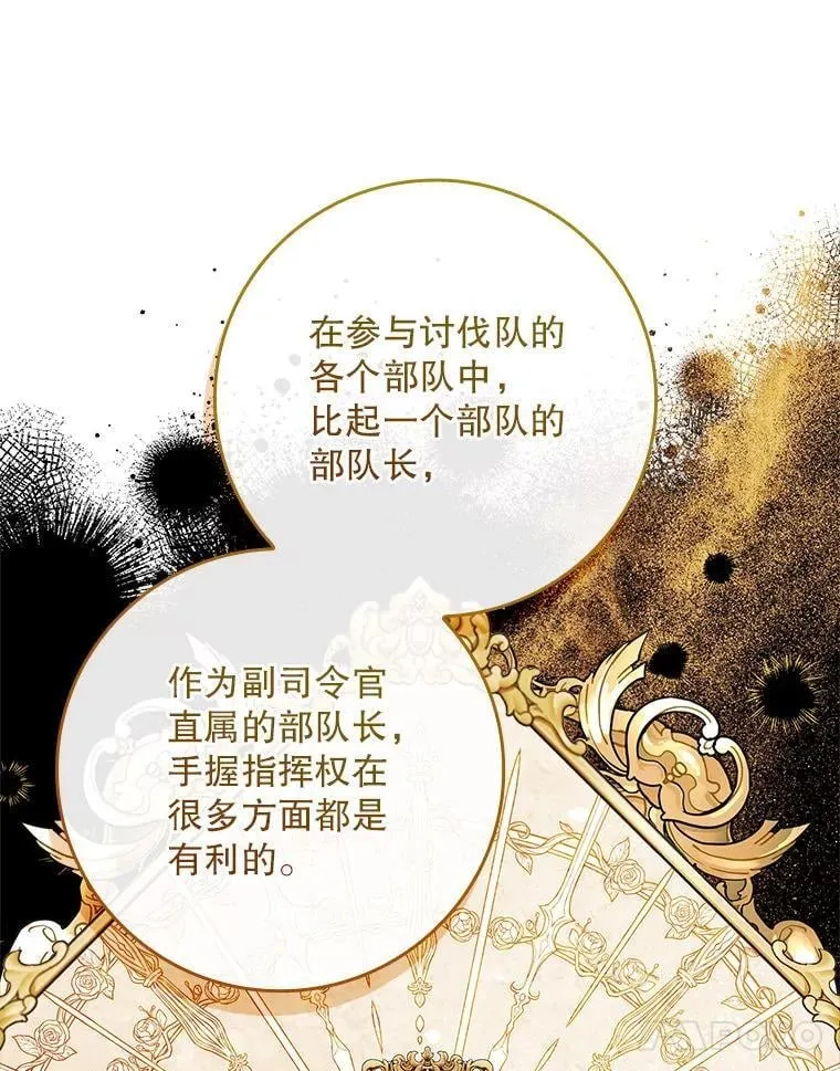 77.作战部署 第41页