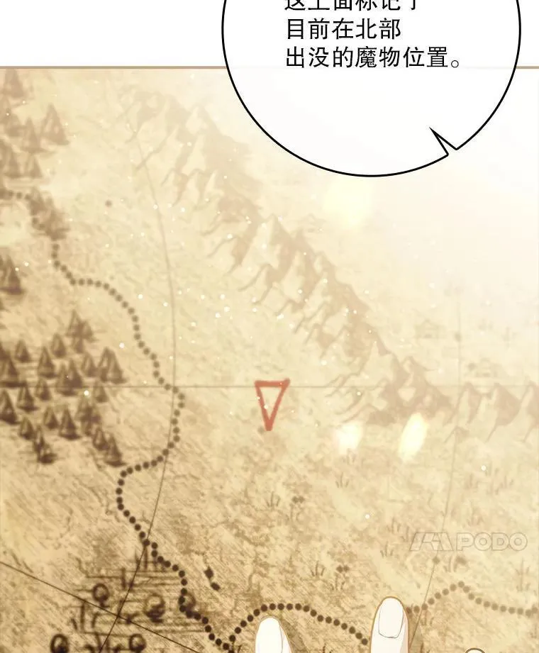 77.作战部署 第85页