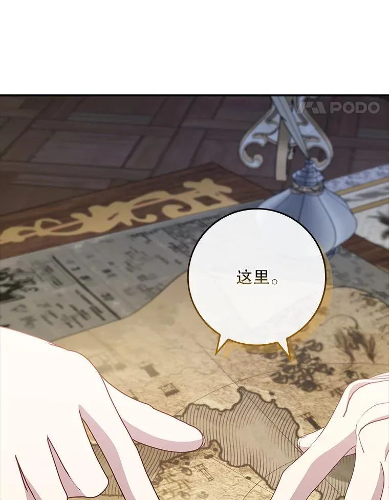 77.作战部署 第96页
