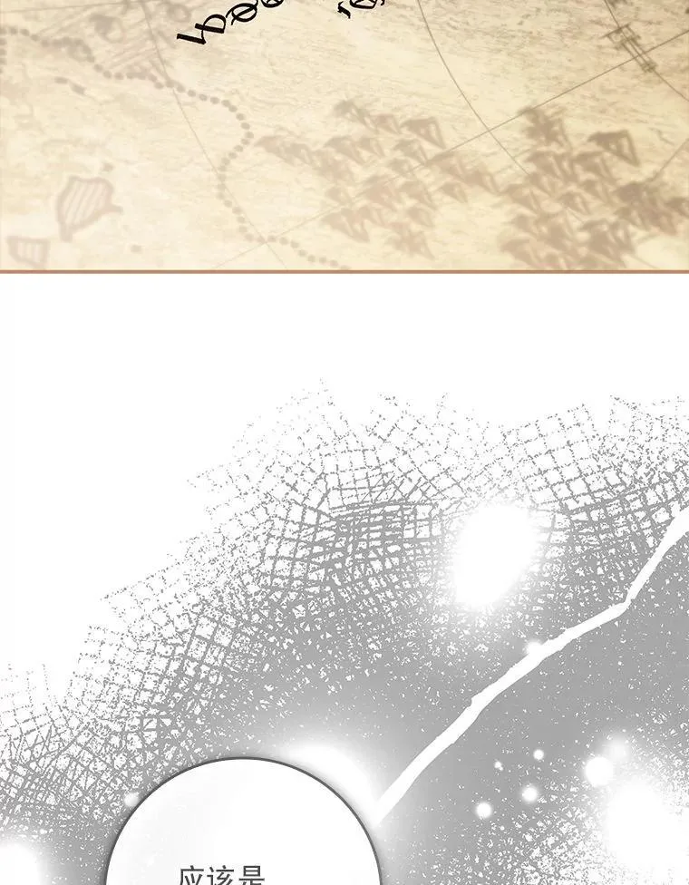 77.作战部署 第98页
