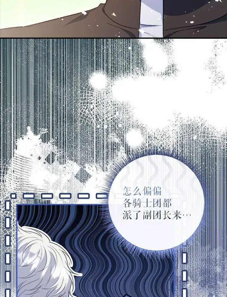 78.徽章 第15页