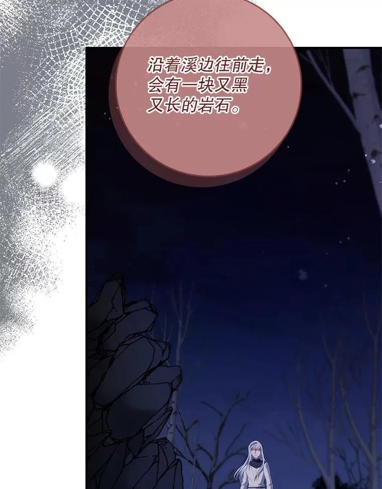 78.徽章 第63页