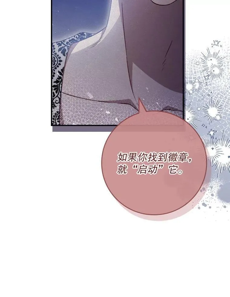78.徽章 第73页