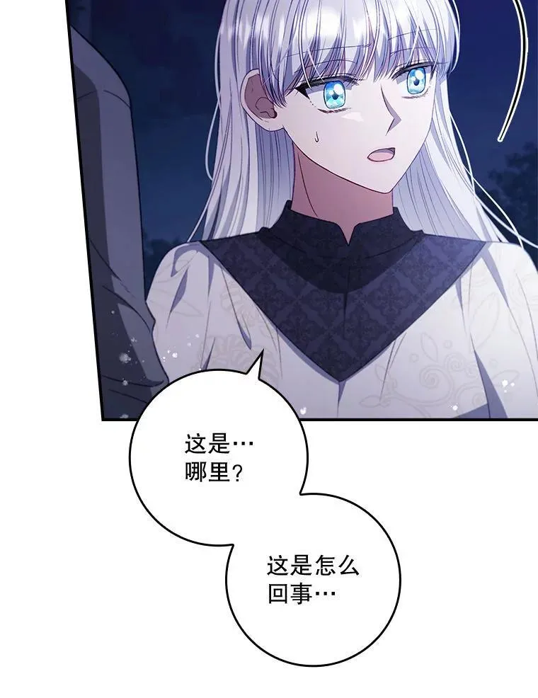 78.徽章 第94页