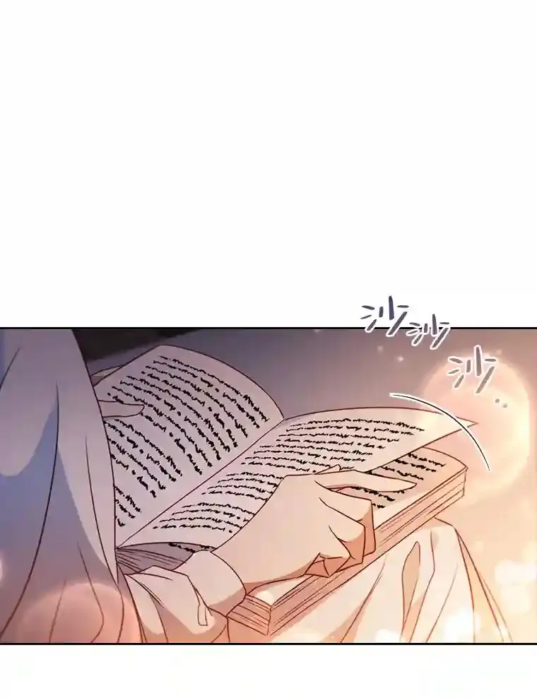 2.奇怪的客人 第1页