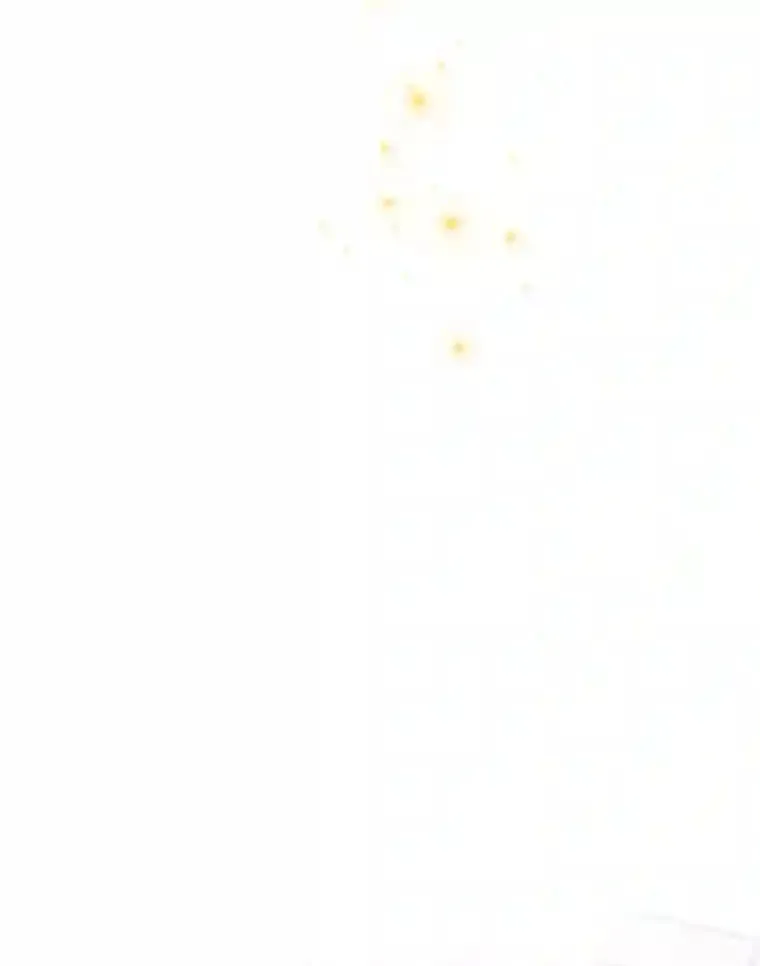 13.唯一的星星 第110页