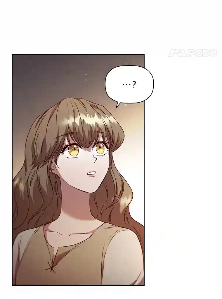 29.给骑士的回报 第102页