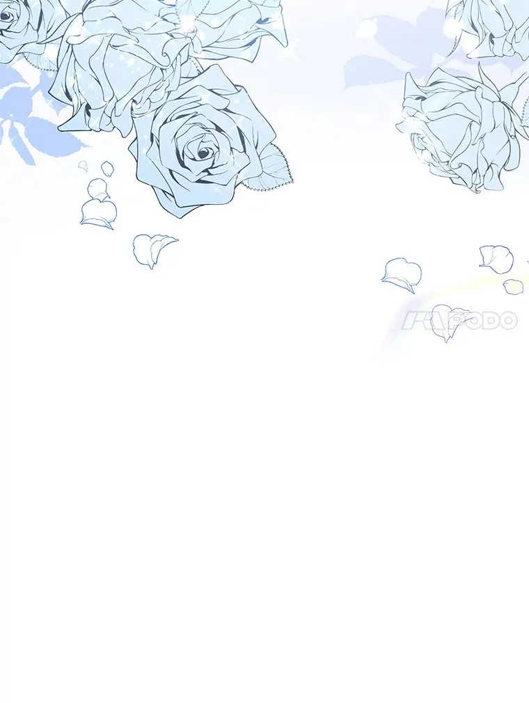 39.合作伙伴 第43页