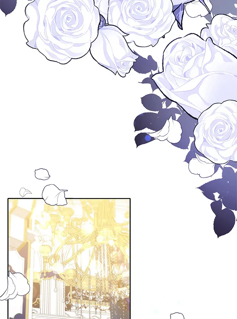 39.合作伙伴 第72页
