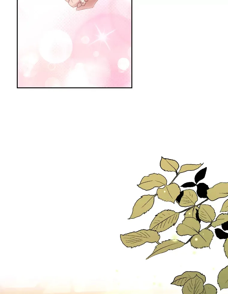 52.送花 第3页