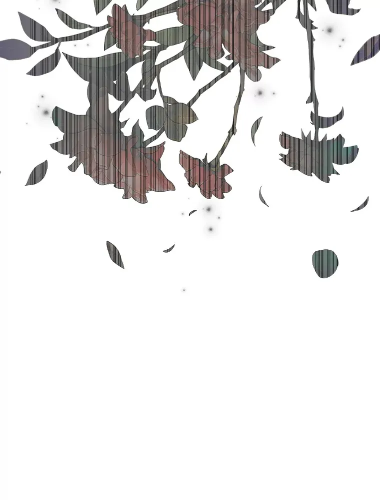 52.送花 第104页