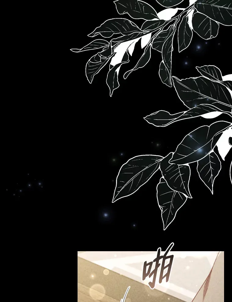 61.发酵 第46页