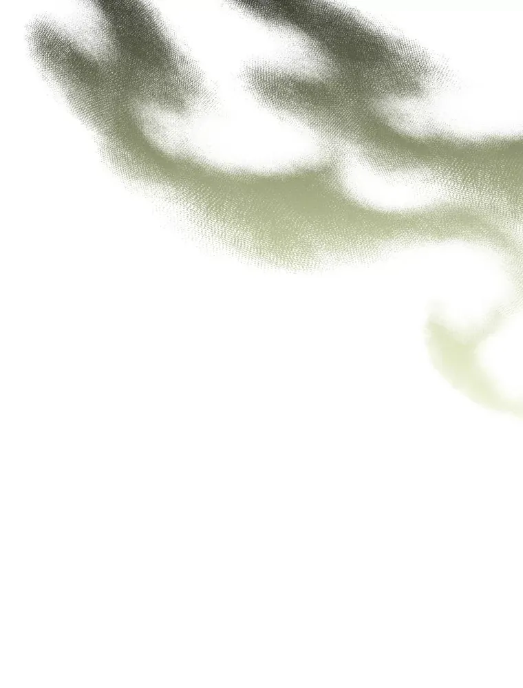 62.公平的审判 第113页