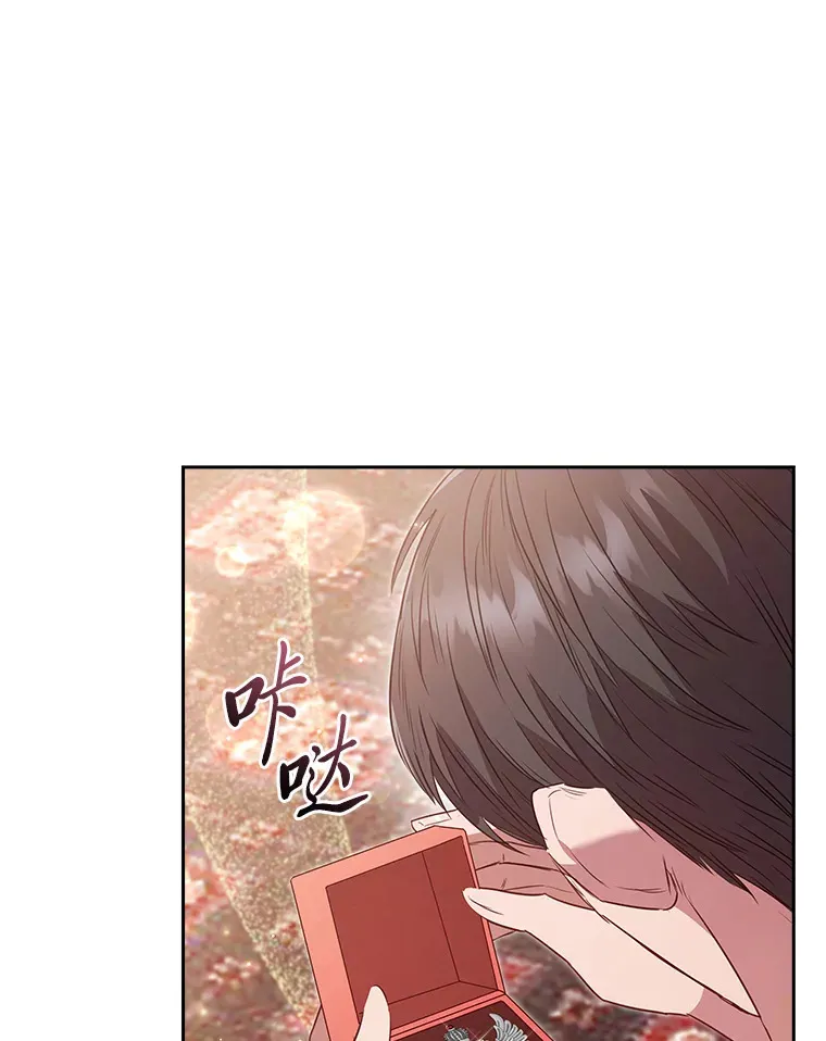 72.亲生母亲的执念 第46页