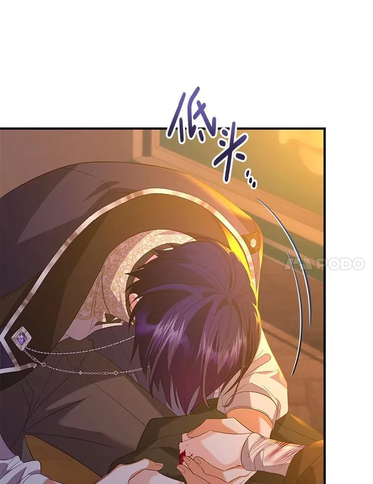 54.委托帕尼亚 第31页