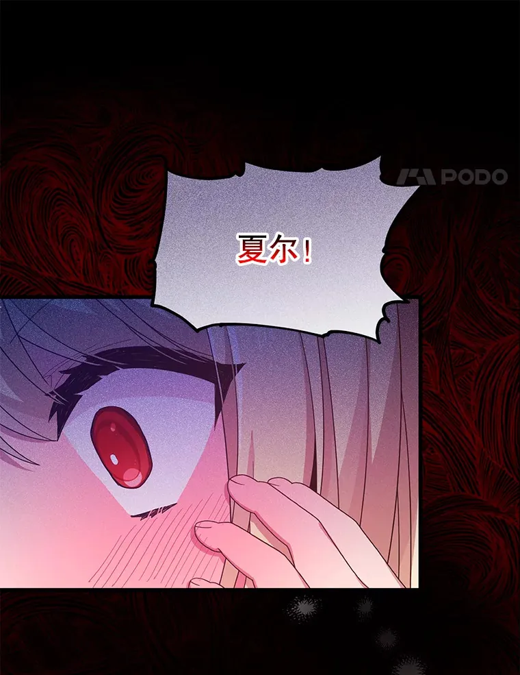 12.灾难 第14页