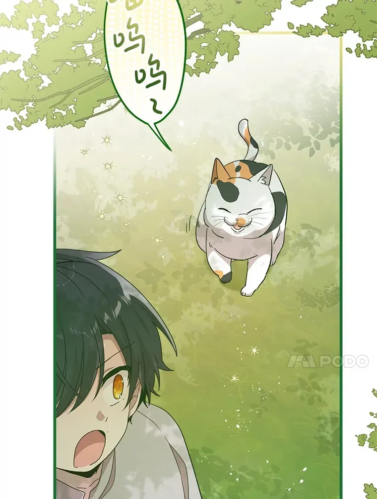 17.难忘的初遇 第25页