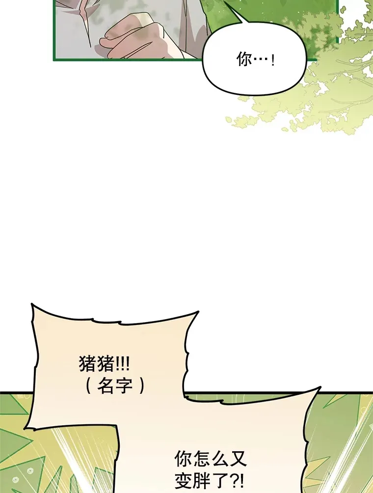 17.难忘的初遇 第26页