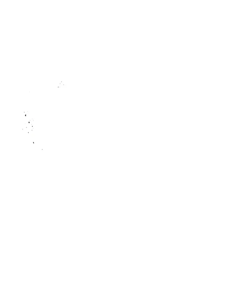 24.人类的底线 第42页