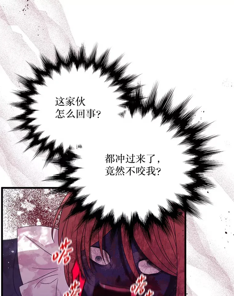 33.保护人类 第40页
