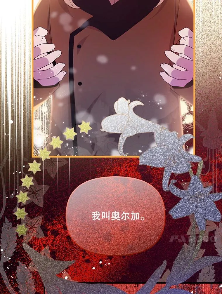49.奥尔加 第95页