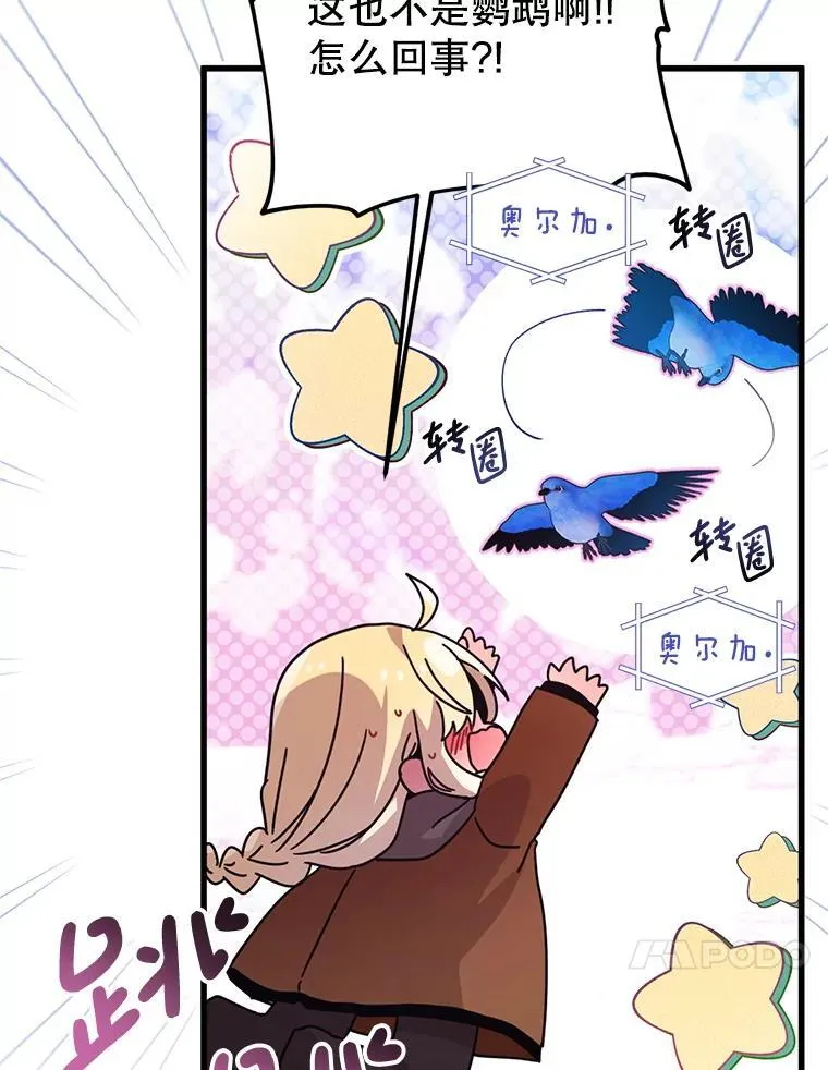 50.164岁 第10页