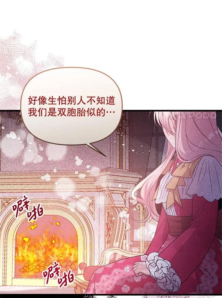 59.双胞胎 第95页