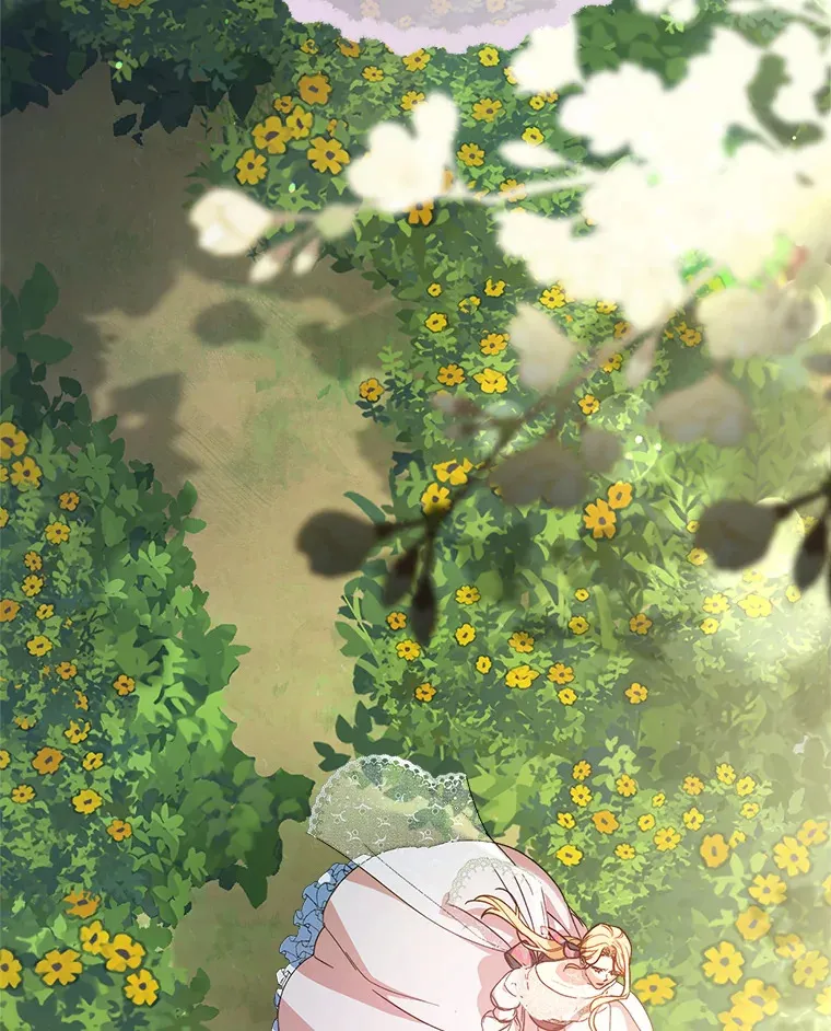 12.安慰 第11页