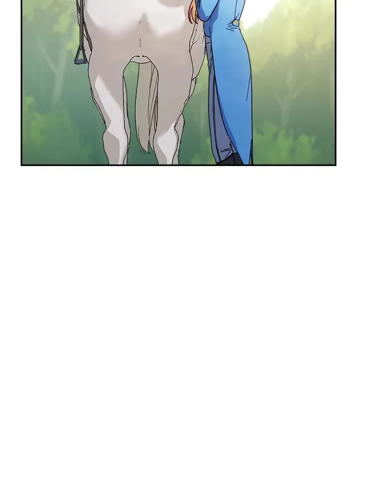 13.骑马 第12页