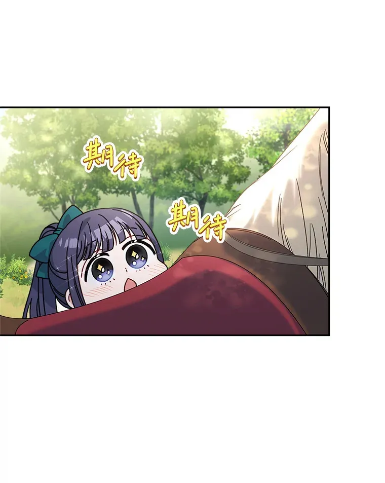 13.骑马 第17页
