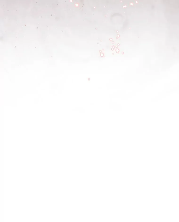 16.晚宴 第49页