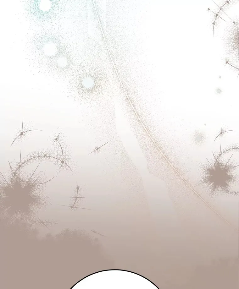 19.普莱塔的身世 第29页