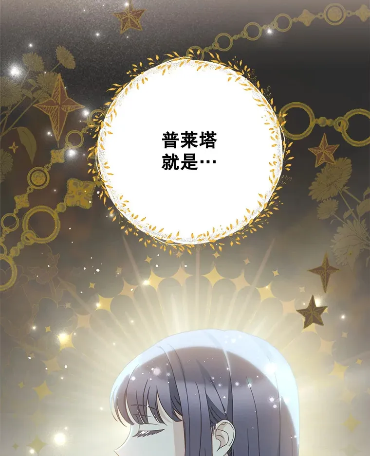 19.普莱塔的身世 第85页