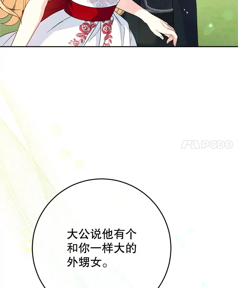20.和大公见面 第85页