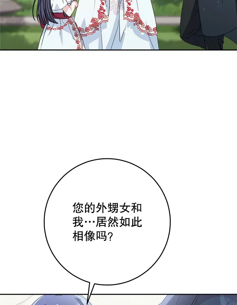 20.和大公见面 第97页