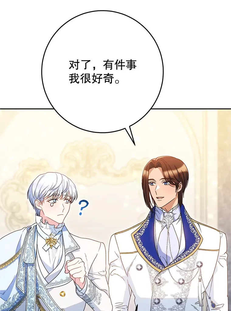 30.大公的提议 第26页