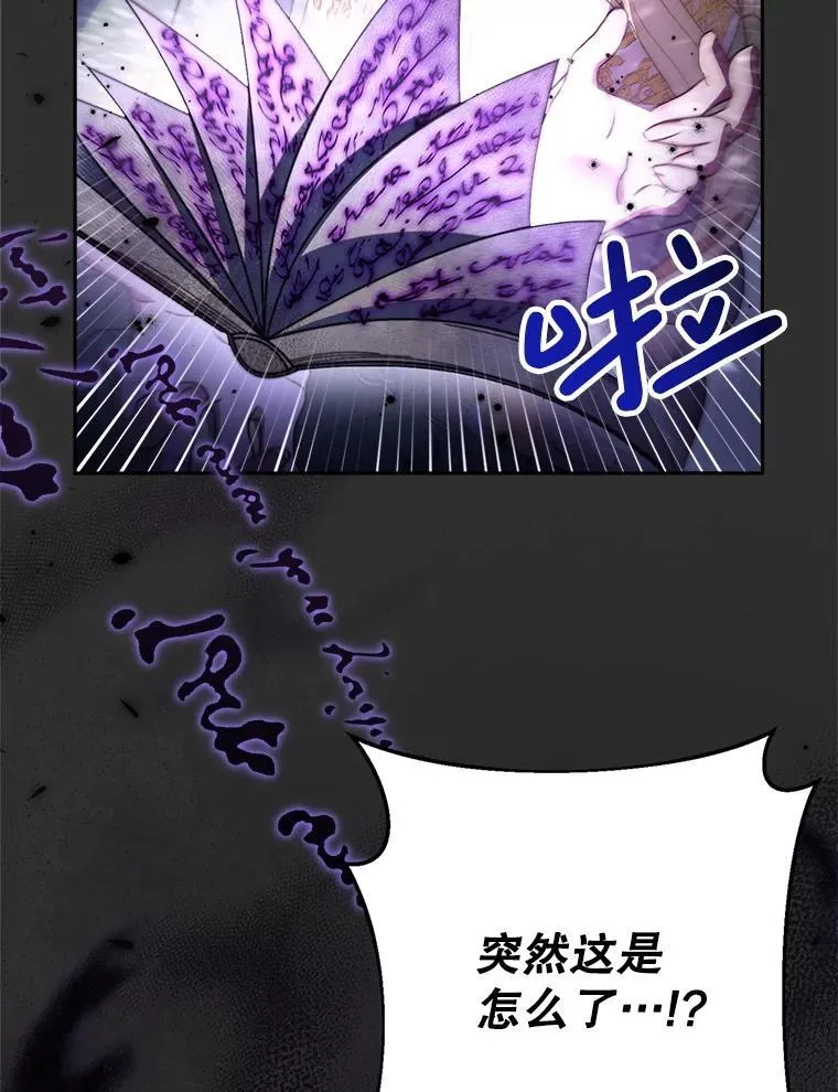38.奇怪的书 第28页