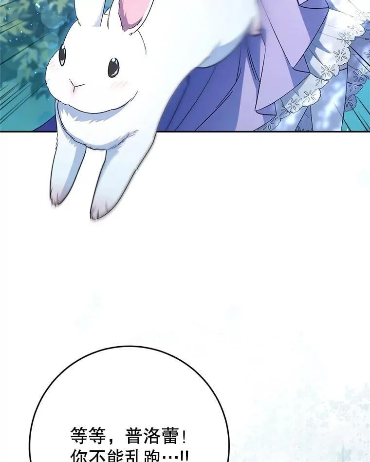 42.曾经的美好 第77页