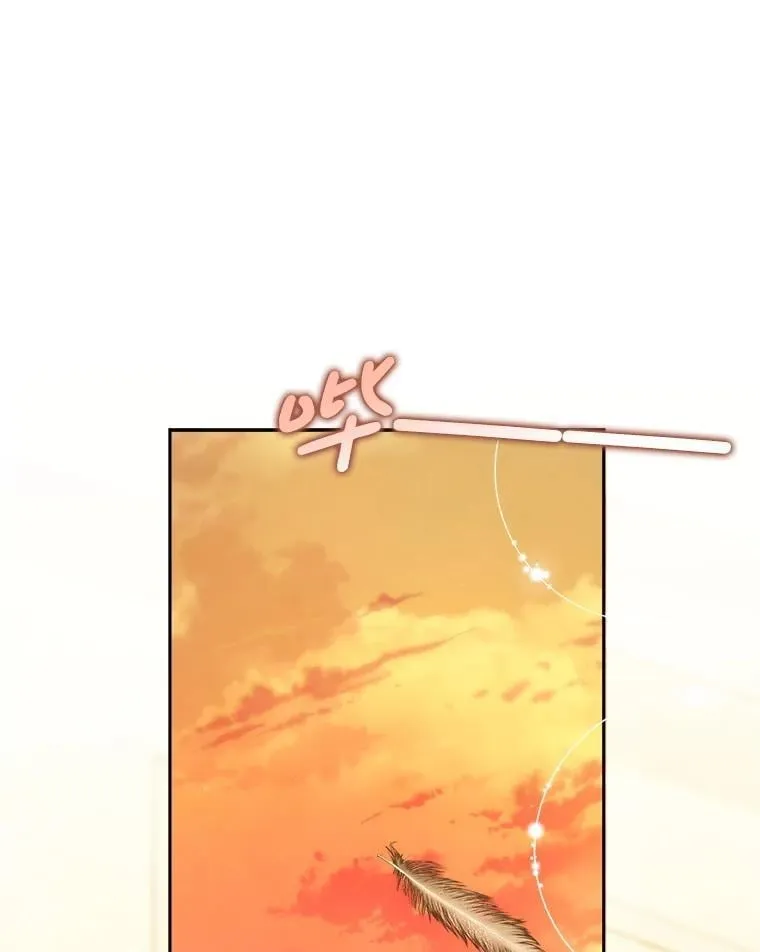 48.婚礼 第1页