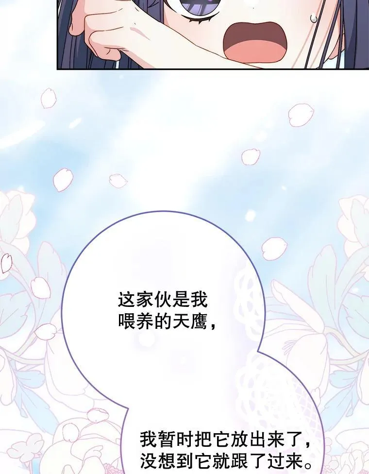 59.环岛飞行 第36页